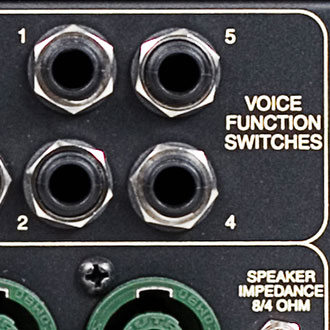 Five ¼” Function Switch Jacks are provided for remote triggering of the VOICE feature and the TUNER MUTE allowing you to build programs under a remote switching system for easier access in stage applications.